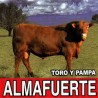 Almafuerte Toro y Pampa