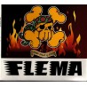 Flema Pogo, Mosh & Slam