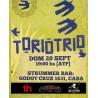 Torio trio en vivo en Strummer bar